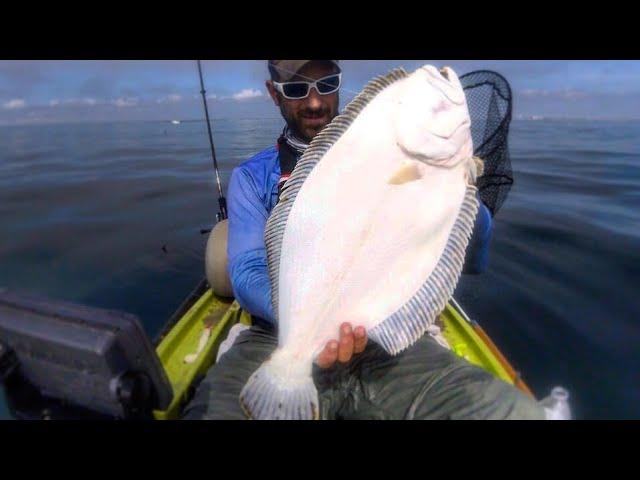 FANTASTIC Fishing: JUMBO CAROLINA FLOUNDER + FALSE ALBACORE + BARRACUDA COMBO