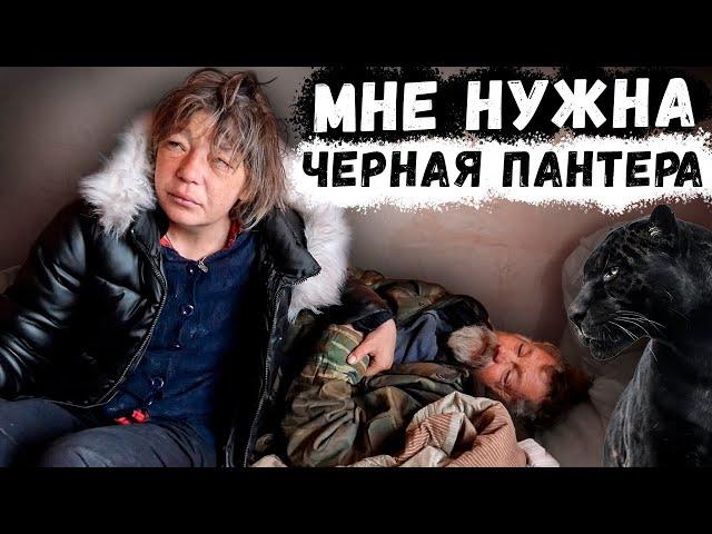 ВАС САМ БОГ ПОСЛАЛ  !!! // КАТЯ КОЛЯ В ЗАПОЕ ! ИХ УЖЕ НЕ СПАСТИ ?!