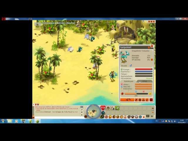 test de dofus par bob de pso