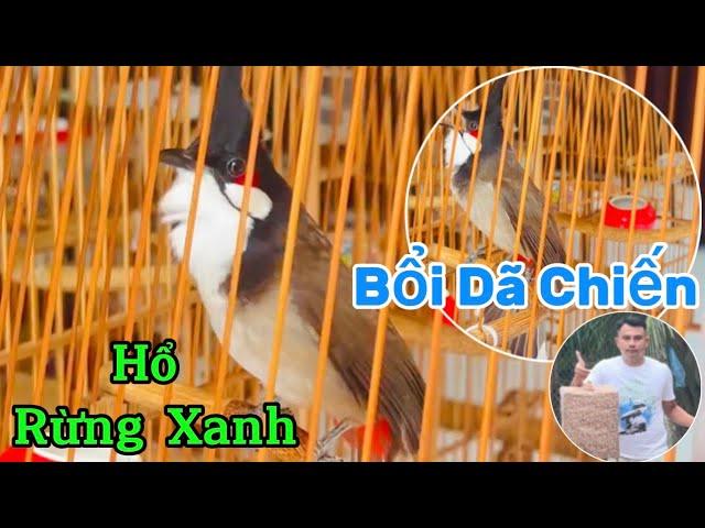 XOÈ CÁNH MY | Mẫu Bổi Không Chơi Hơi Phí | Húc Mọi Đối Thủ | Phách Đánh Quá Dã Man |GĂM DÍ LAO XOÈ