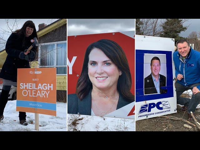 Made you look: the art of the campaign sign