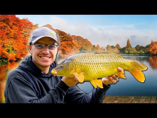 Catch MORE Carp In Autumn (with this AWESOME tactic!)