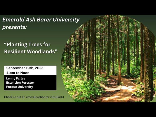 Plant Trees for Resilient Woodlands