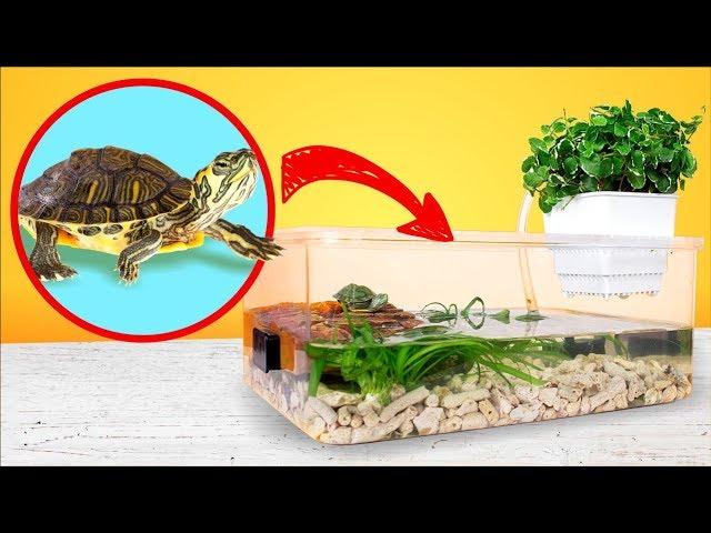 Simple and Cheap Red Eared Turtle Terrarium Tank DIY