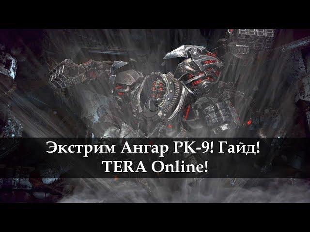 Экстрим. Ангар совершенного RK-9 Гайд. TERA Online!