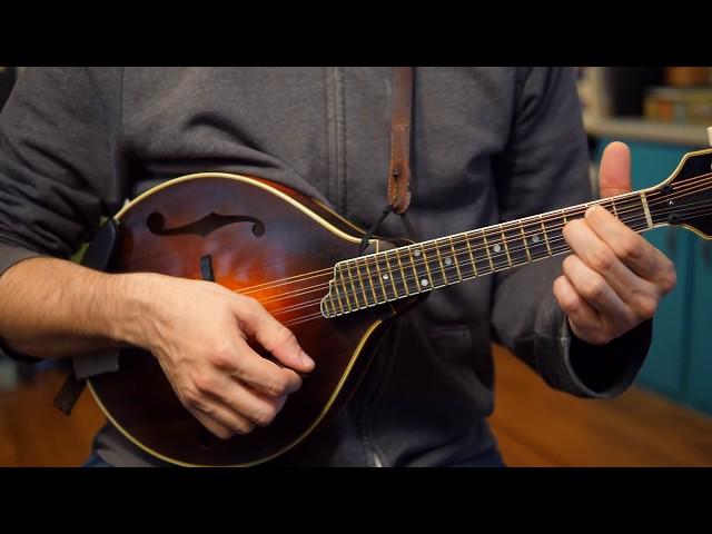 Beginner Mandolin Lessons Series (Part Two): First Chords