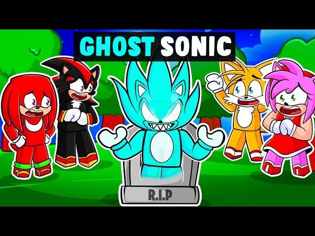 Sonic Turns Into GHOST SONIC In Roblox...