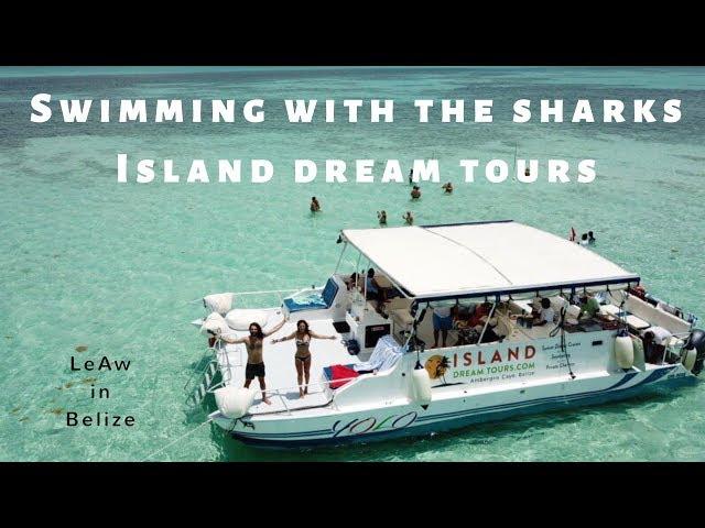 Swimming with sharks - YOLO - Island Dream Tours the best on Ambergris Caye - LeAw in Belize