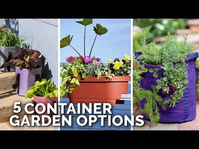 5 Container Gardening Options for Apartment Gardeners