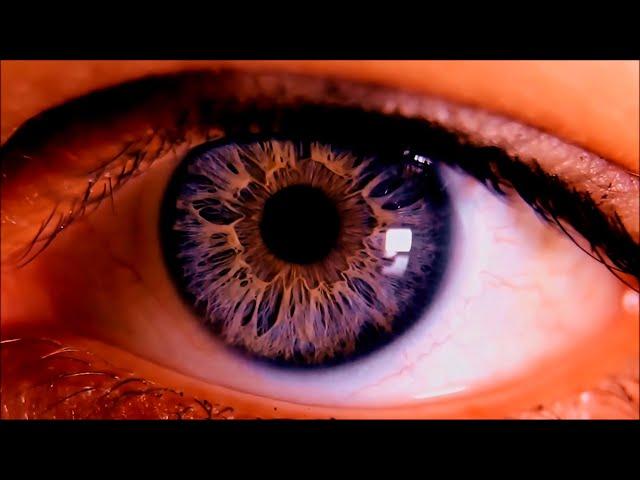 AMANDA LEHMANN  -  The Watcher - OFFICIAL VIDEO (2021)