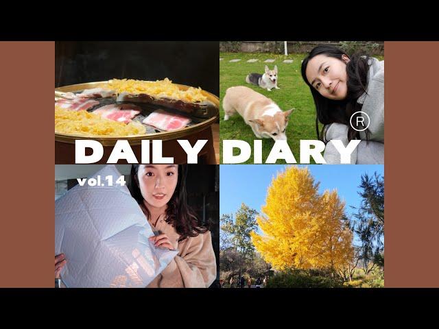 『Della’s Daily Diary』14｜双十一购物开箱｜北京好吃的烤肉｜植物园秋天