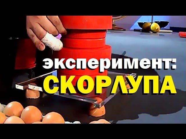 Галилео. Эксперимент. Скорлупа