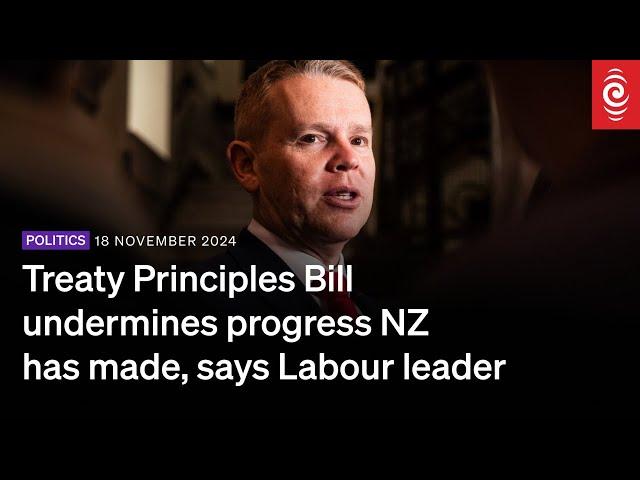 Treaty Principles Bill undermines progress NZ has made, says Labour leader | 18 November 2024 | RNZ