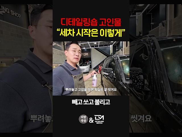 디테일링 세차 고인물