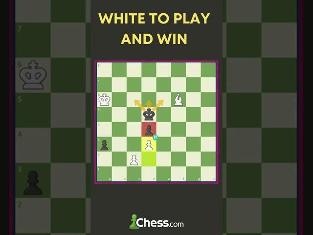 Unbelievable Solution In This Chess Puzzle!