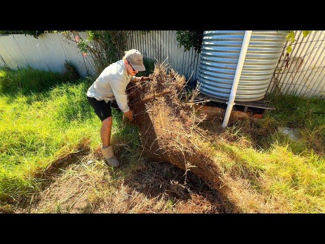 This Family DESPERATELY needed my HELP - So I did it for FREE!