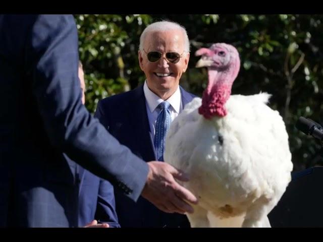 Presidential Turkey Pardons