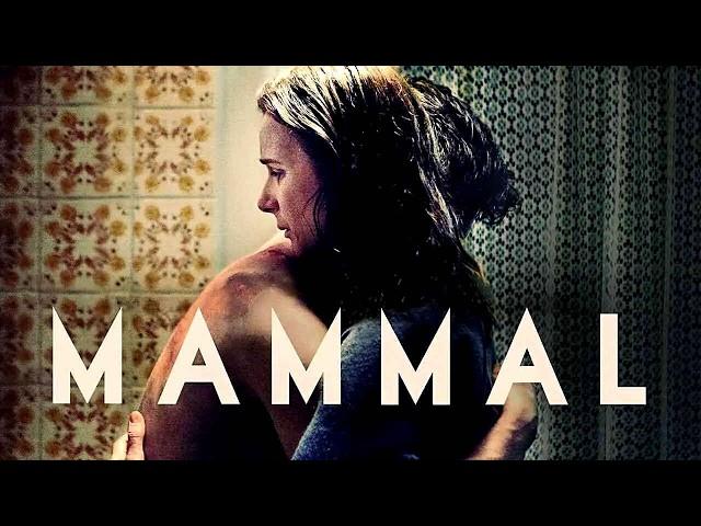 Mammal 2016 Drama/Melodrama Full Movie Facts & Review | Barry Keoghan, Rachel Griffiths, Aoife King