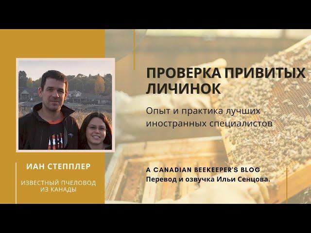 Иан Степплер: проверка состояния привитых личинок (Канада)