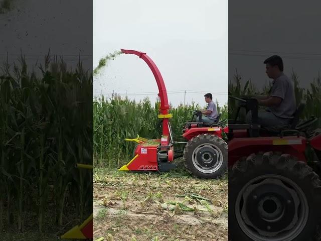 Small agricultural machine silage harvester farm equipment