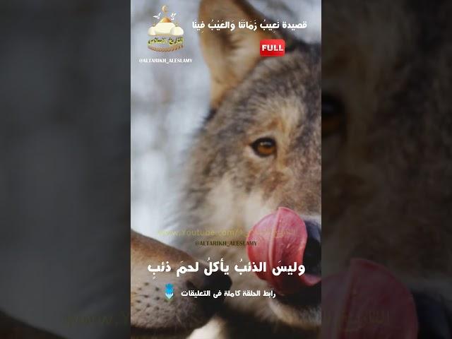 قصائد الامام الشافعى - نعيب زماننا والعيب فينا