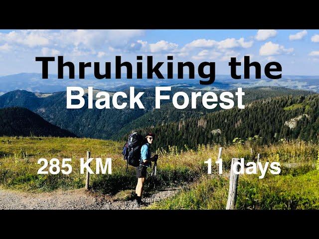 Thruhiking the Black Forest // Westweg 11 Days 285 km Basel to Pforzheim