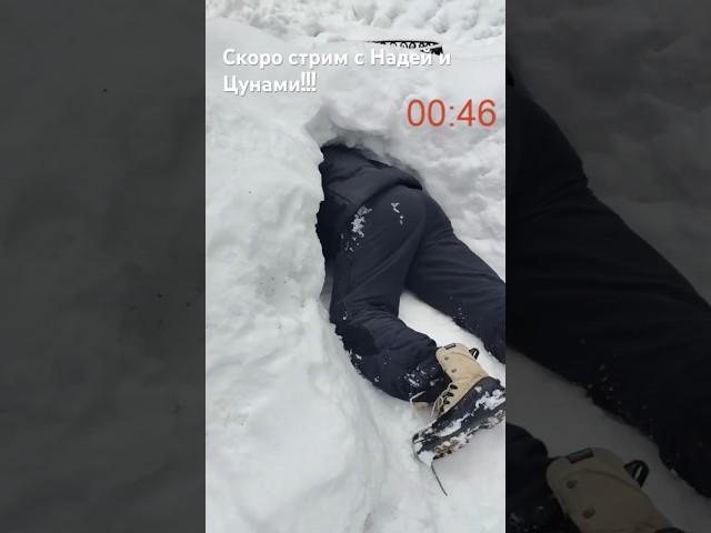 Challenge Надя vs Цу￼нами #animal #dog #doglover