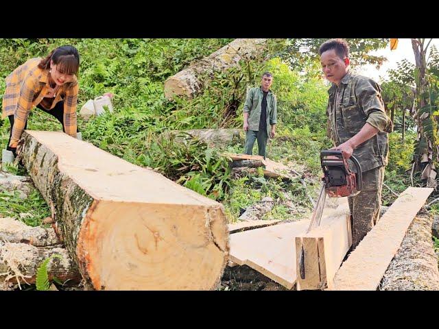 Cut wood and move wood. Preparing to build a new kitchen