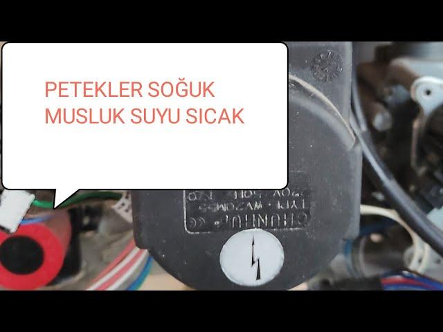 Kombi Muslukta Sıcak Su Var! Petekler Isınmıyor. Petekler Neden ısınmaz ? 3 Yollu Vana Motoru arıza