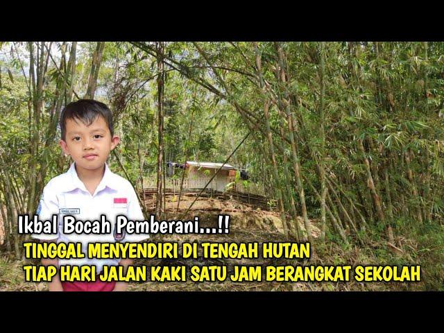 Kaget !! Jumpa Bocah Pemberani Tinggal Menyendiri Di Pinggir Hutan Lereng Bukit