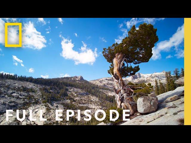 Yosemite (Full Episode) | America's National Parks: Classic