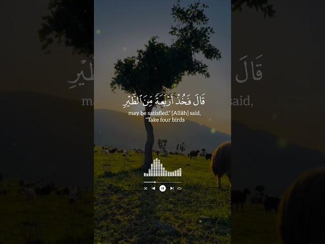 Relaxing Quran Recitation with Soothing Voice | Peace Before Sleep