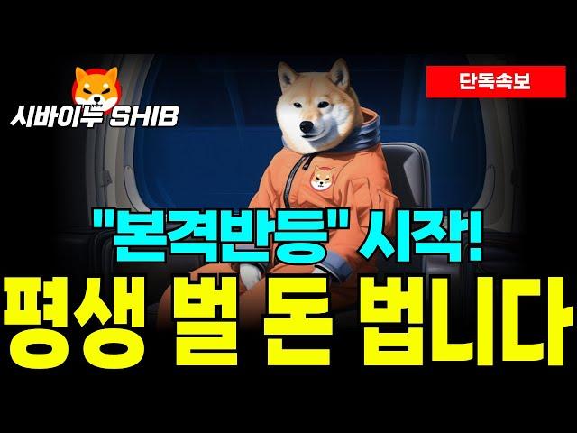 [시바이누 코인] "본격반등" 시작! 6배 급등 속보 나왔다! 1달러 현실로 도달한다! 오래 기다리셨습니다...