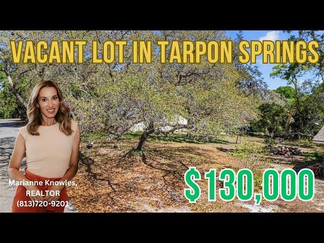 Discover Ultimate Coastal Living On Wilmar Avenue In Tarpon Springs!