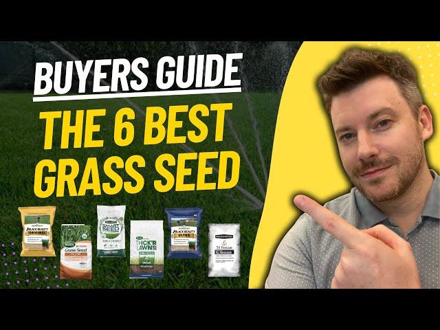 BEST GRASS SEED: Top 6 Grass Seeds (2023 Buying Guide)