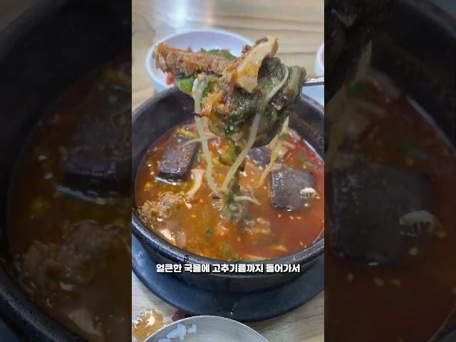 연말에 해장하러 가는곳은 어디? #김정림선지해장국 #목포맛집 #korea