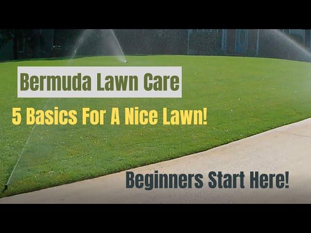 Bermuda Lawn Care - 5 Basics - For A Nice Green Lawn - Beginners Start Here!