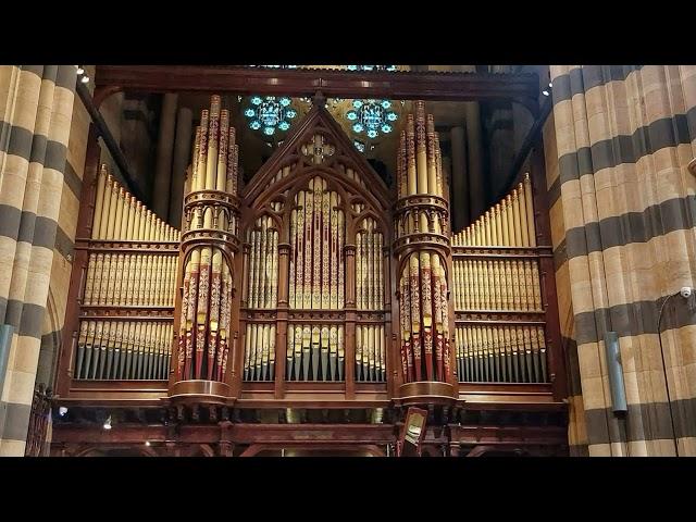 Arjan Breukhoven | St. Paul's Cathedral Melbourne | Toccata and Fuge d-minor BWV 565 J.S. Bach