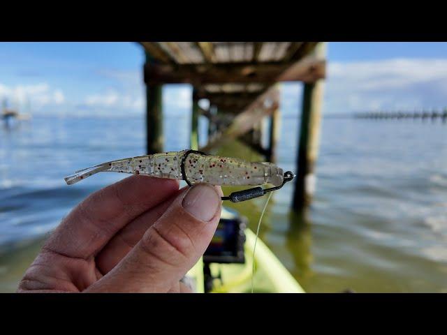 South Florida Winter Kayak Sight Fishing Docks & Flats for Redfish and Snook! Last Video 2024