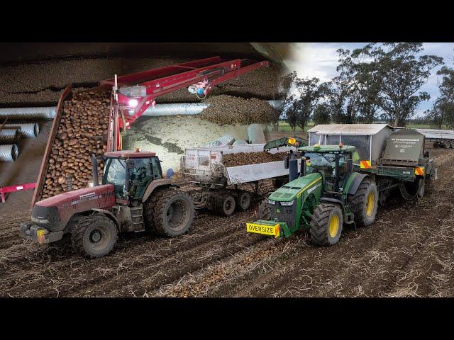 Harvesting & Loading Potatoes w/ John Deere 8270R | Talley's NZ