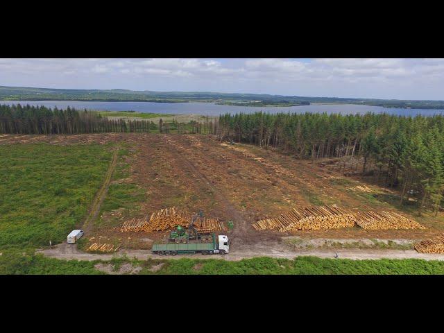 SARL MAG à l'abattage dans un superbe panorama / John Deere 1470G et 1510G