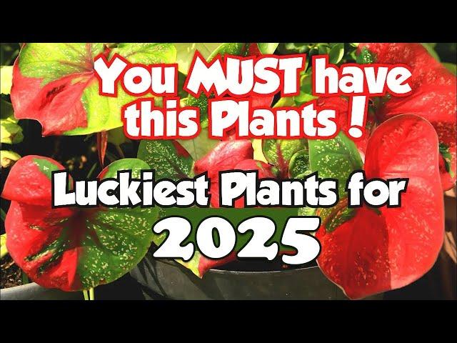 Top 18 Lucky Plants for 2025 | Health, Wealth & Prosperity #luckyplants