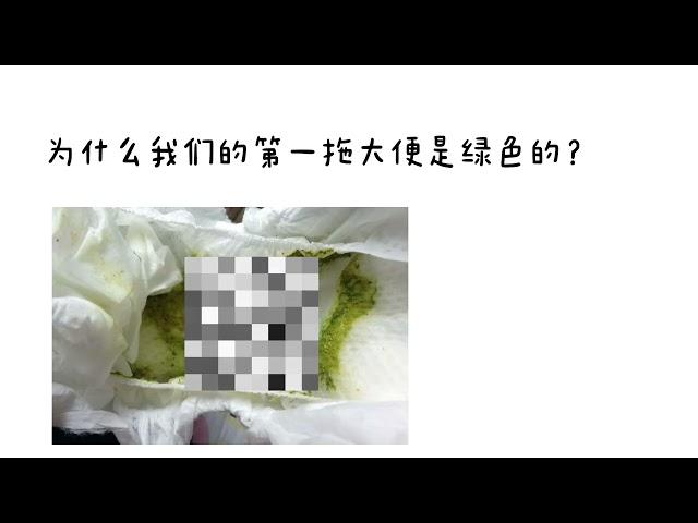 Ep5. 冷知识分享 Fun Facts Sharing (Part 1)