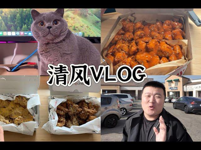 清风日记｜日常外卖｜英短蓝猫日常｜韩国炸鸡