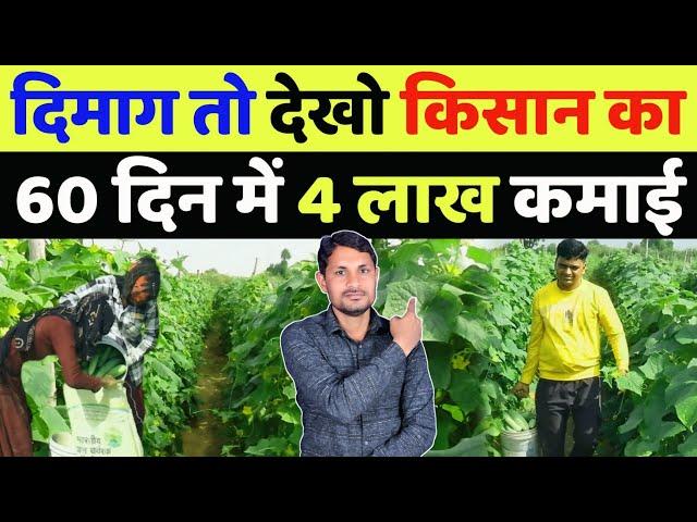 खीरे की खेती कब और कैसे करें | khira ki kheti kab kare | cucumber cultivation in open field