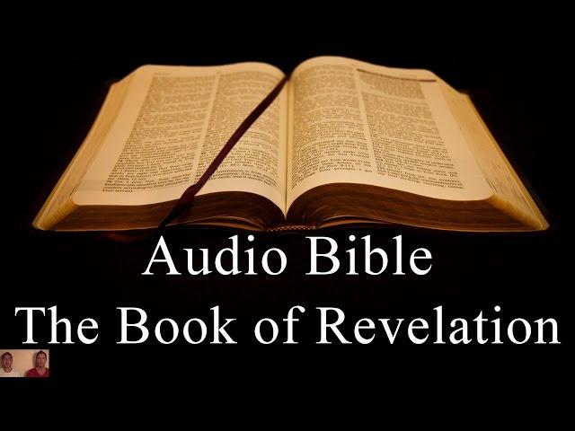 The Book of Revelation - NIV Audio Holy Bible - High Quality and Best Speed - Book 66