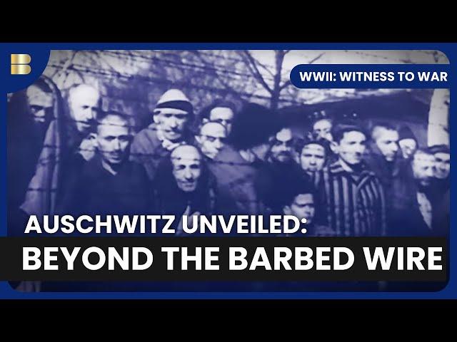 Auschwitz Horror Revealed - WWII: Witness to War - S01 EP11 - History Documentary