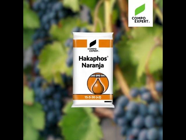 Hakaphos® Naranja: Water soluble NPK compound fertilizer with magnesium, sulfur and micronutrients.