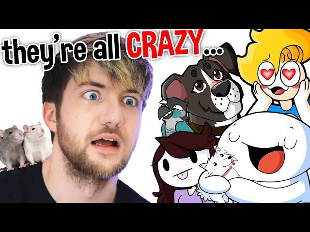 The Wild World Of YouTuber Pets