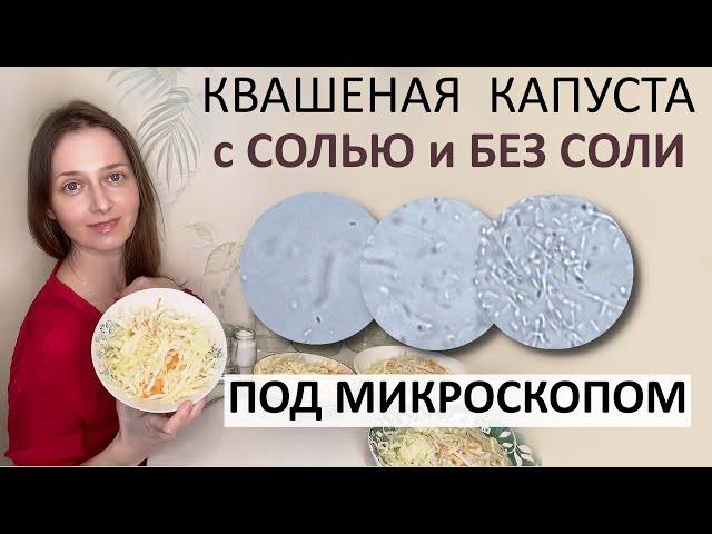 Микрофлора квашеной капусты. Микроорганизмы любят соль ? Добавлять ли закваску ?